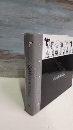 Art of Charles M. Schulz