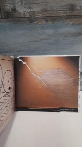 Art of Charles M. Schulz