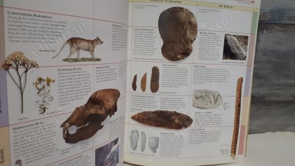 Smithsonian Timelines of the Ancient World : A Visual Chronology from the Origins of Life to A. D. 1500