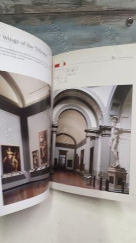 Accademia Gallery: The Official Guide