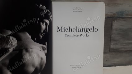 Michelangelo Complete Works - XL