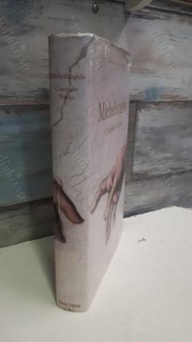 Michelangelo Complete Works - XL