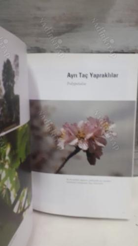 Türkiye'nin Ağaçları ve Çalıları (Ciltli)