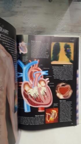 Guide to the Human Body: A Photographic Journey Through the Human Body