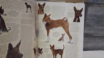 The Encyclopedia of the Dog