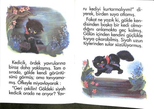 1980's Minik Dizi – Siyah Kedicik Dostları Arasında