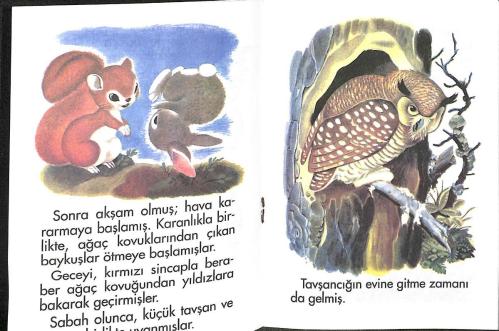 1980's Minik Dizi – Şakacı Tavşanlar Çevreyi Tanıyorlar