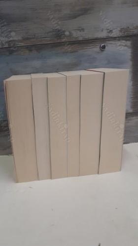 Robert Greene Seti ( 6 Kitap Takım ) - İktidar / Güç Sahibi Olma - 33 Stratejide Savaş - Ustalık - Baştan Çıkarma Sanatı - İnsan Doğasının Yasaları