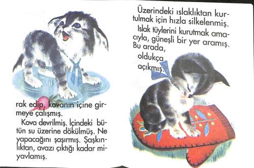 1980's Minik Dizi – Kediciğin Başına Gelenler