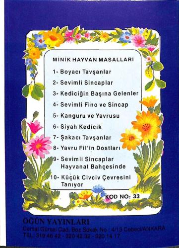 1980's Minik Dizi – Kediciğin Başına Gelenler