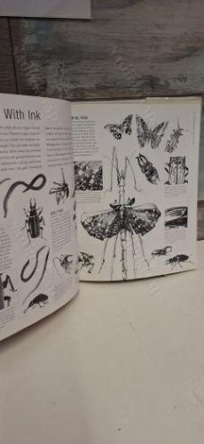 SKETCH BOOK FOR THE ARTIST