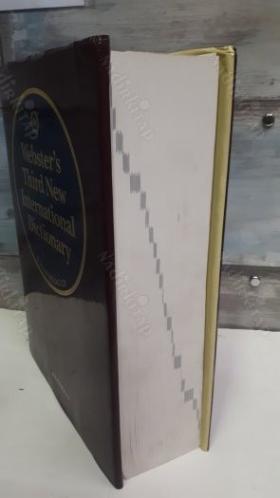 Webster's Third New International Dictionary of the English Language, Unabridged