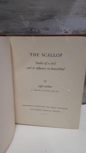 THE SCALLOP- STUDIES OF A SHELL AND ITS INFLUENCES ON HUMANKIND