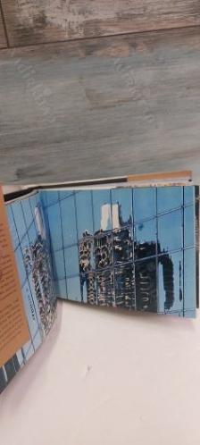 Chicago Mini, Photographs/Santi Visalli, Intro/Tigerman, Publisher/Rizzoli
