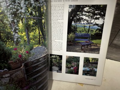 Tricia Guild's Painted Country