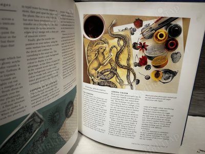 The Decoupage Collection: New Ideas and Techniques for Stylish Effects