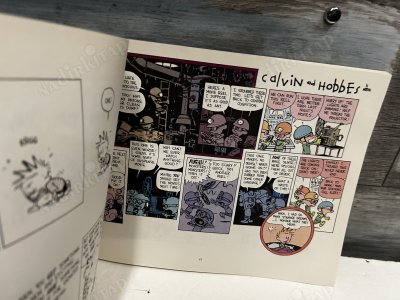 It's a Magical World: a Calvin & Hobbes Collection
