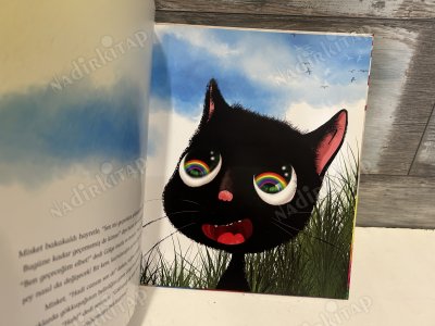 Gökkuşağını Kovalayan Kedi