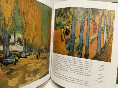 Van Gogh painter - The Masterpieces