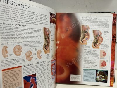 HUMAN The Definitive Visual Guide