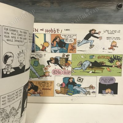 Homicidal Psycho Jungle Cat: A Calvin and Hobbes Collection