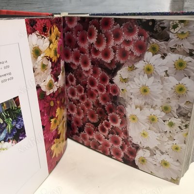 Flowers (MiniCube) (CubeBook)
