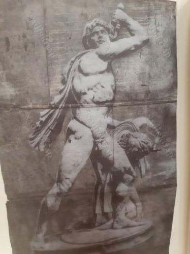 LUCA PIGNATELLI MUSEO DI CAPODIMONTE ACHILLE BONITO OLIVA