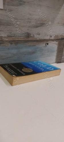 GOLD MOUNTAIN A NOVEL