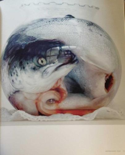 NATURE MORTE / CONTEMPORARY ARTISTS REINVIGORATE THE STILL - LIFE TRADITION