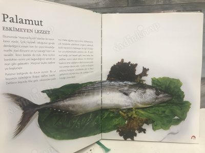 Trilye'nin Balık Sevdası