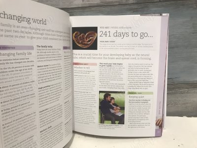 THE DAY-BY-DAY PREGNANCY BOOK