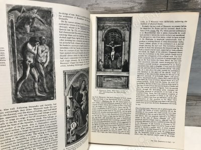 ART - A HISTORY OF PAINTING SCULPTURE ARCHITECTURE VOLUME 2
