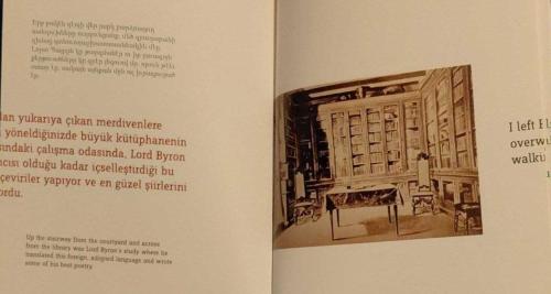 AYP, PEN, KİM