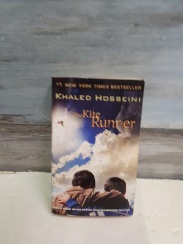 The Kite Runner (Uçurtma Avcısı'nın İngilizcesi)