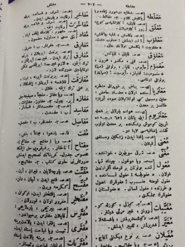 Yeni Türkçe Lügat (Ciltli) - Mehmed Bahaeddin