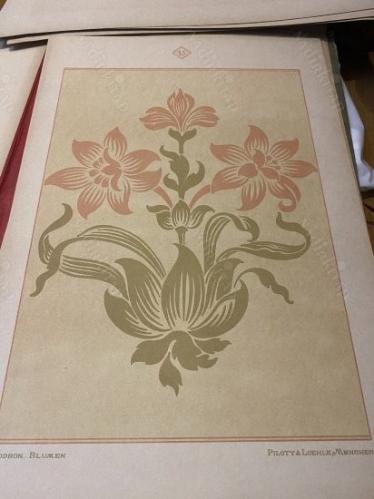 1896 yılından bir çiçek kitabı (portfolyosu) MODERN STILISIERTE BLUMEN UND ORNAMENTE, Richard Godron, 1896, Piloty & Loehle, München, 14 plates