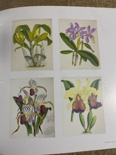 Shapero Rare Books- Natural History 2018