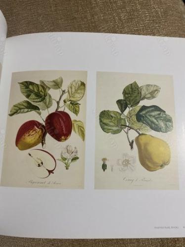 Shapero Rare Books- Natural History 2018