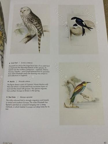 birds the of world ,the art of Elizabeth Gould