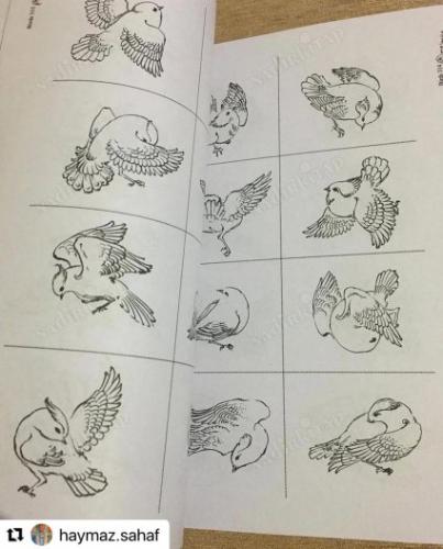 kuşlar ve çiçekler çizim kitabı