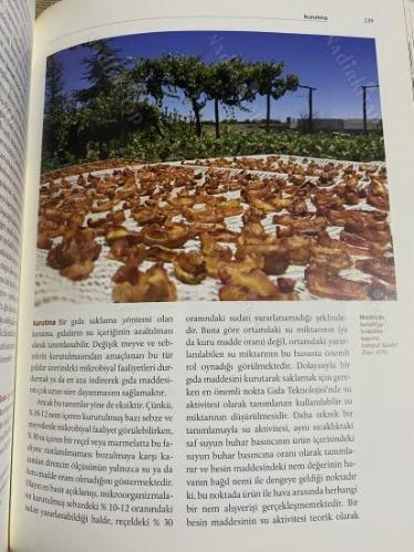 Kuruyemiş Ansiklopedisi - Dünden Bugüne