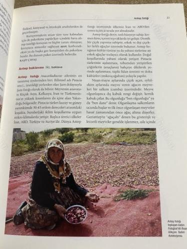 Kuruyemiş Ansiklopedisi - Dünden Bugüne