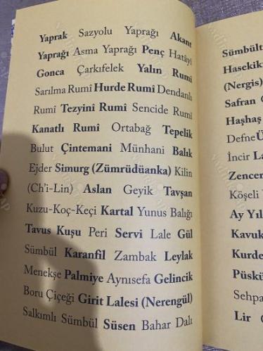 İstanbul'un 100 Motifi İstanbul'un Yüzleri Serisi 86