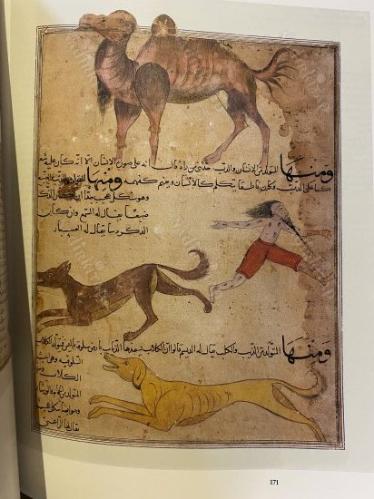 Pages of perfection Islamic paintings and calligraphy from Russian Academy of sciences St. Petersburg of