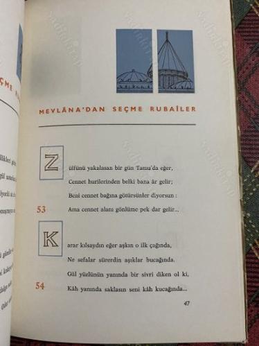 MEVLANA'DAN SEÇME RUBAİLER