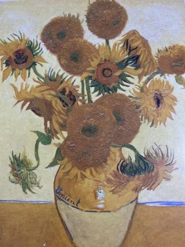 VAN GOGH - Ciltli ve Şömizli