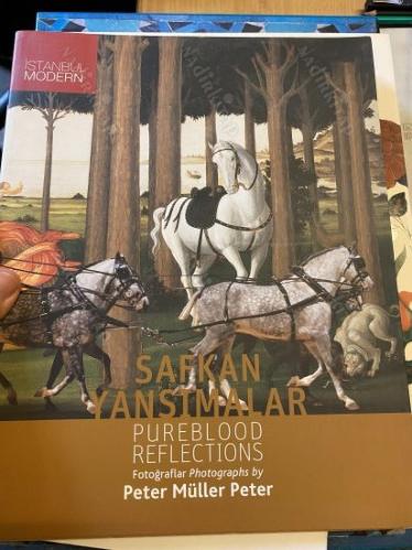 Safkan yansımalar = Pureblood reflections. (3 Şubat - 26 Nisan 2009). Küratör: Engin Özendes. [Sergi kataloğu]