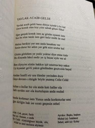 Yunus Emre Divanı