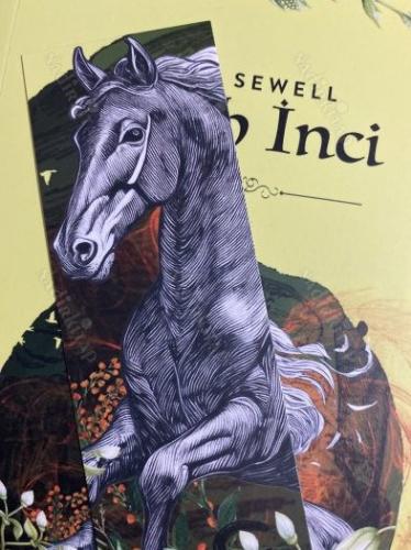 SİYAH İNCİ (ORİJİNAL AYRACI İLE)