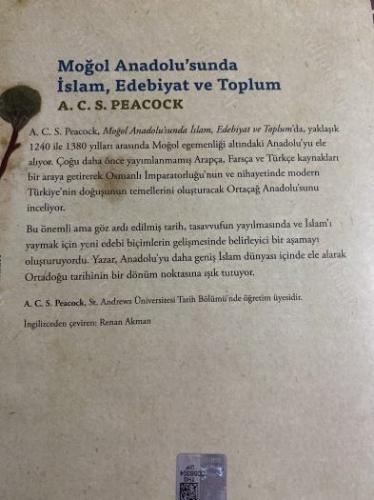 Moğol Anadolu'sunda İslam, Edebiyat ve Toplum